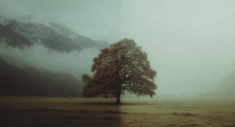 Наследство без завещания в Германии: кто и как получает долю умершего